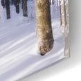 thumbnail image 3 of Epic Art 'White Muslin' by Philippe Sainte-Laudy, Acrylic Glass Wall Art, 16"x12", 3 of 8
