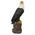thumbnail image 2 of Alpine Corporation Eagle on Rocks Statuary, 2 of 5