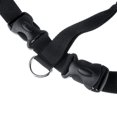 thumbnail image 3 of Collar &amp; Harness Fernando Collar y arnés, 3 of 6