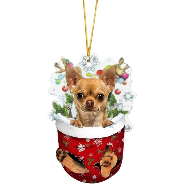 Adorno navideño para perro en forma de árbol de Navidad | Colgante acrílico con osito de peluche dorado | Decoración divertida para coche, hogar y oficina para niños y amantes de las mascotas