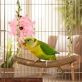 thumbnail image 5 of Bird Toys for Parakeets, Interactive Spinner Rattle Budgie Toys with Grinding Perch, Rotating Wheel Chew Parrot Toys for Medium Birds, 5 of 9