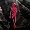 thumbnail image 2 of Halloween Decor - Desktop Dress Up - Prank Scary Skeleton Human Skeleton - Children Educational Toys Whole Body Scary Skeleton Model Toy, 2 of 3