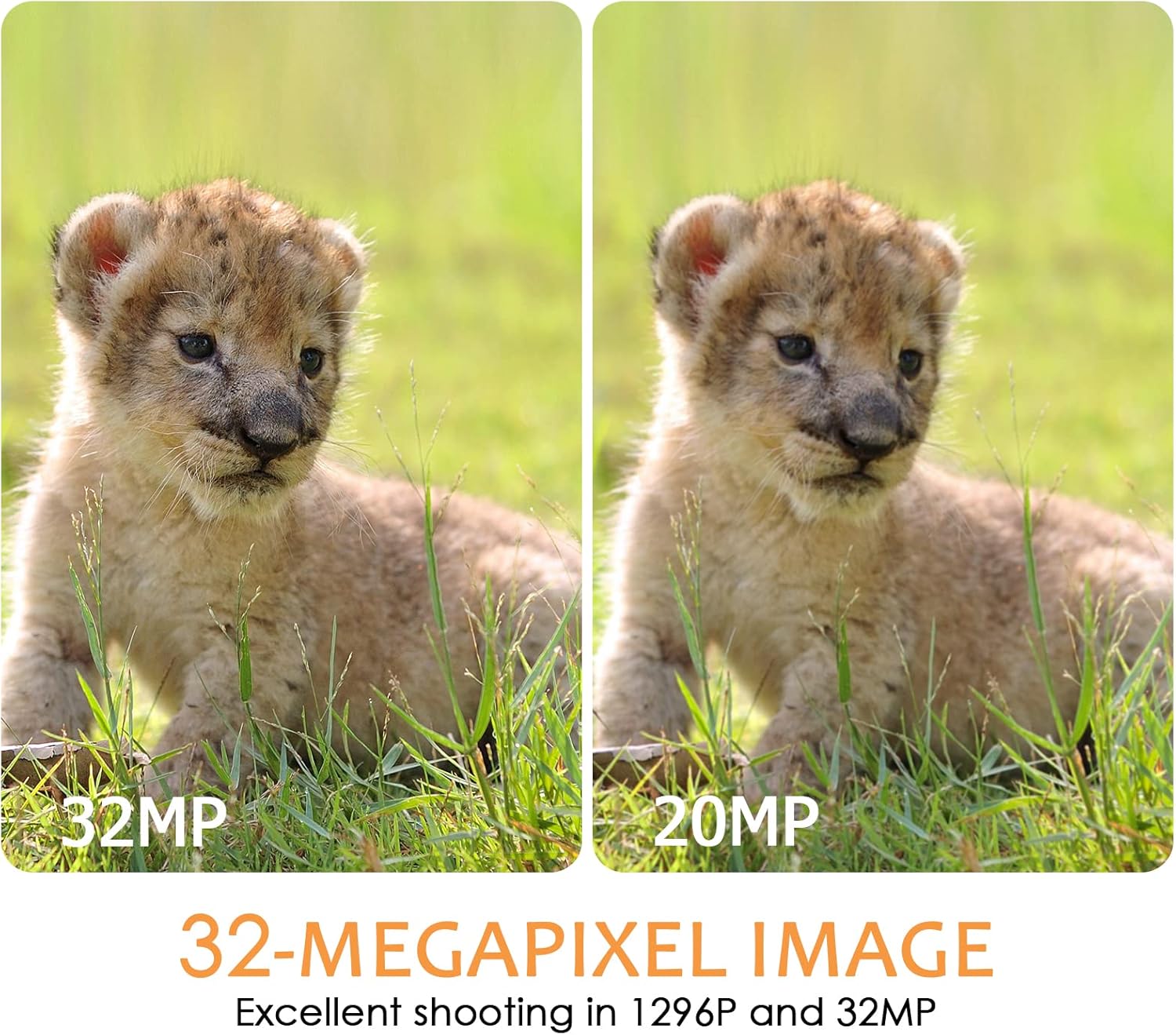 BLAZEVIDEO WiFi Game & Trail Camera 64MP 1296P, Night Vision 0.1s Trigger Time Waterproof IP66 Motion Activated, App Controll Send Picture to Cell Phone for Hunting Wildlife, Home Surveillance
