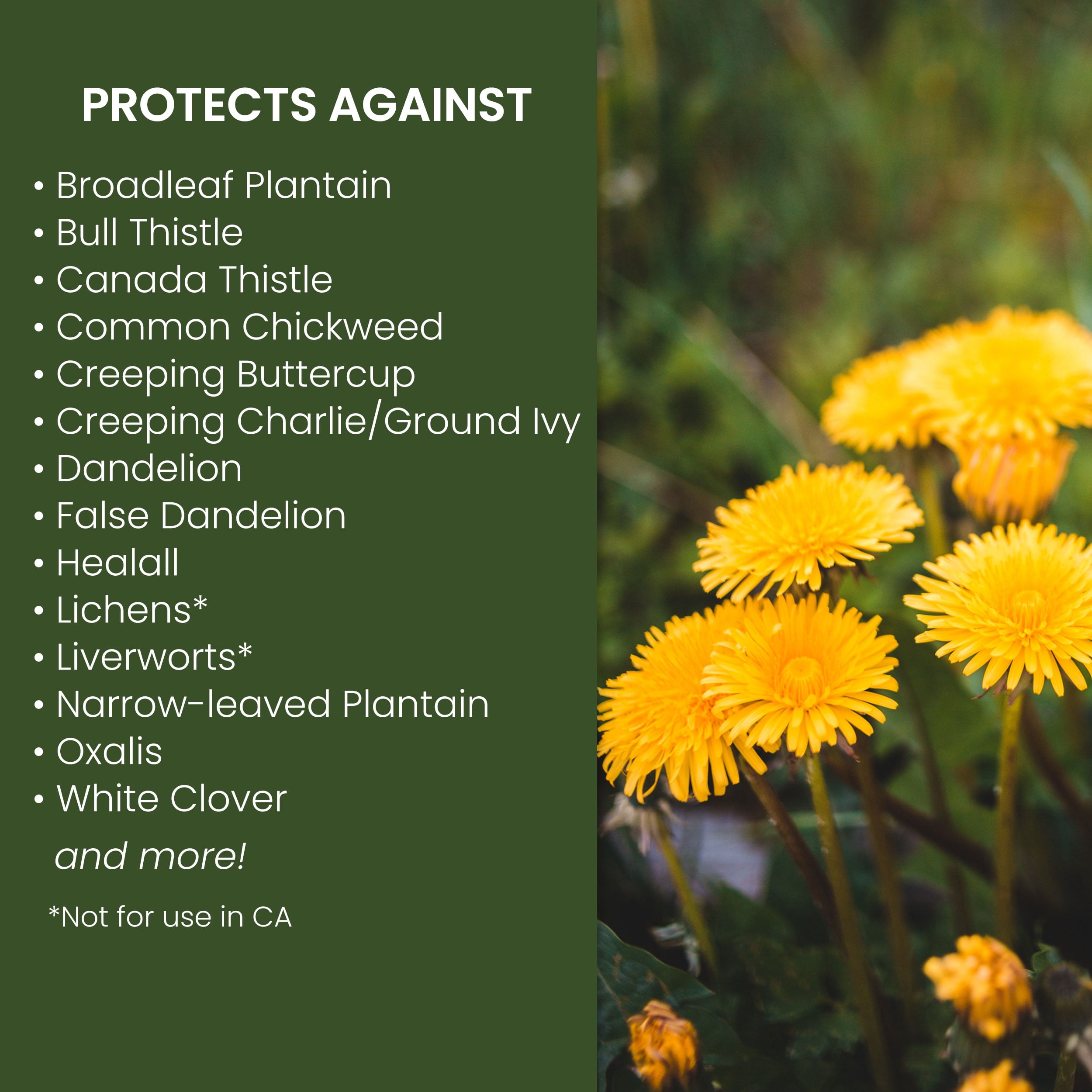 Natria 707310D Lawn Weed & Disease Control, Ready-to-Use, 24 Ounce