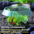 thumbnail image 3 of 3Pcs Plant Cover Transparent Protective Plastic Vegetable Plants Fruit Cover Garden Tool, 3 of 8
