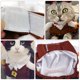 thumbnail image 4 of 1 pieza de ropa elegante para mascotas, ropa para perros de Halloween, ropa creativa para perros, ropa para perros, 4 of 8