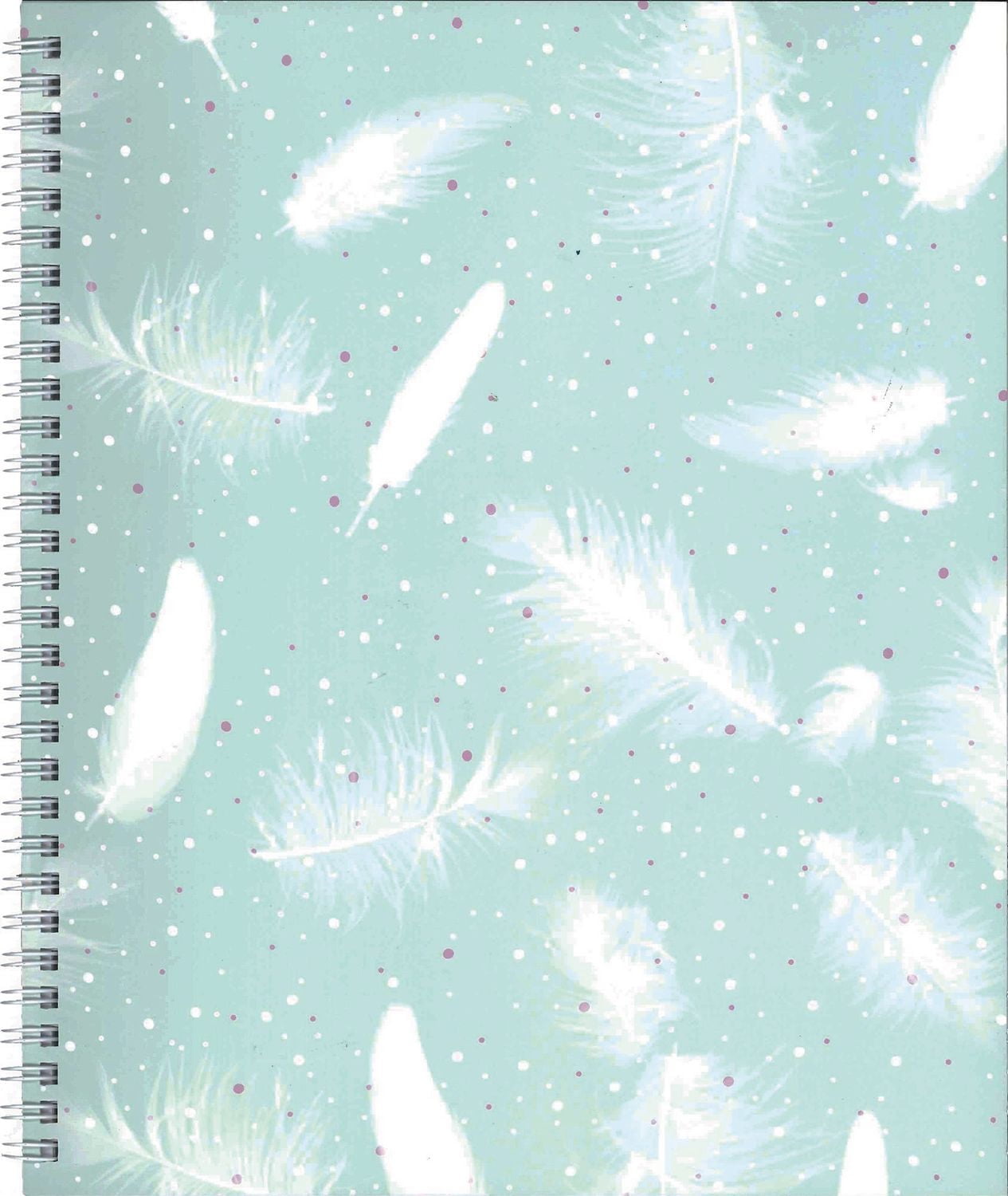 Hilroy cahier 1 sujet poids plume