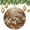 pattern-2854, variant on Christmas Ornaments Cute Hedgehog Funny Christmas Ornaments Christmas Decorations Ceramic Ornaments Mother Hedgehog With Her Baby Ceramic Ornament
