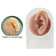 thumbnail image 3 of Human Models Practical Soft Feelings Silicone Modeling Delicate Texture Bubbles for Exercises Demonstration Tool - left ear with stand, 3 of 8