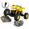 Best Choice Products 2.4 GHz 1/18 Rock Crawler Off-Road Vehicle High Speed Racing Remote Control Car (Yellow-Black)