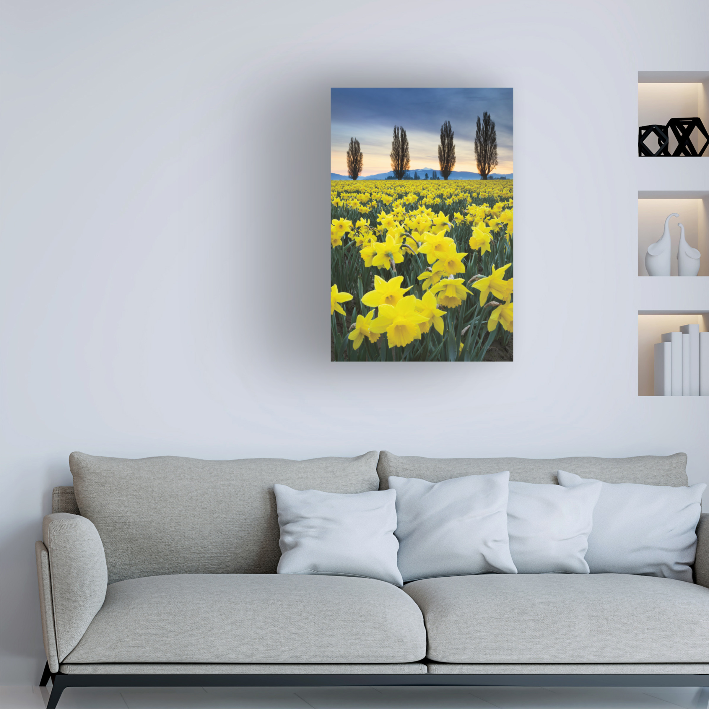 Trademark Fine Art 'Skagit Valley Daffodils I' Canvas Art by Alan Majchrowicz