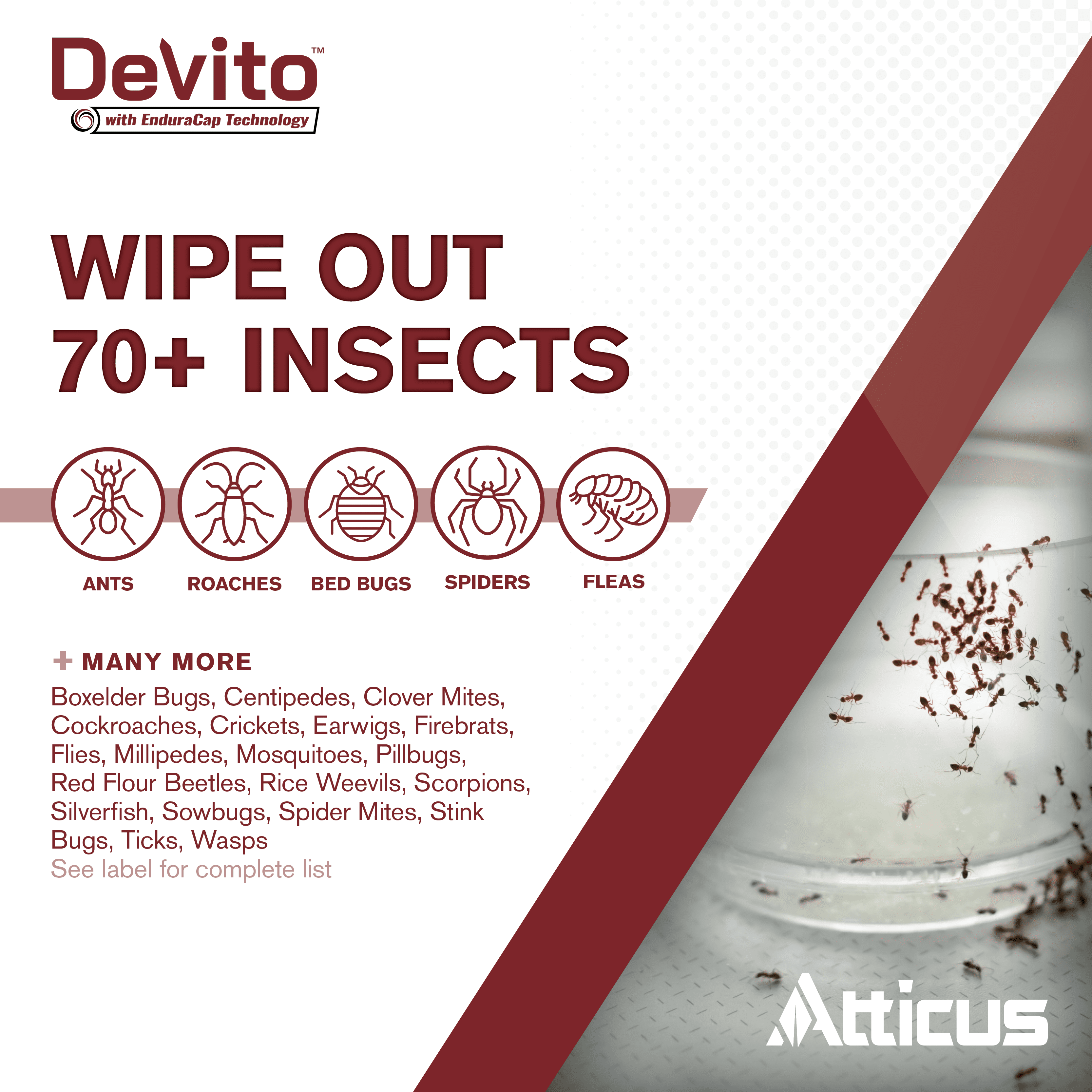 DeVito with EnduraCap Technology Insecticide (8 OZ) by Atticus - Compare to Demand CS - Indoor and Outdoor Pest Control - Ants, Roaches, Bed Bugs, Fleas