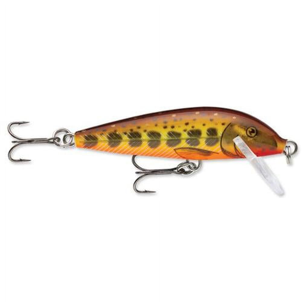 canadian tire fishing lures Blue Water Baits 5" K.O. Shad Its true. The Canadian Tire