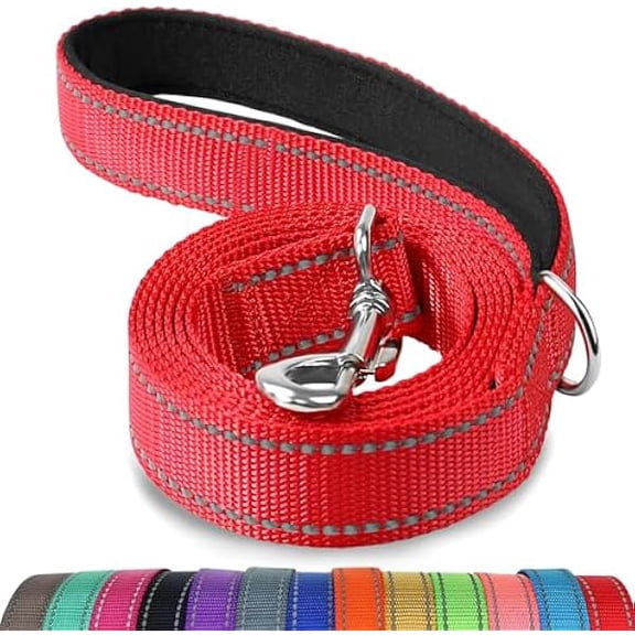 Eryueer Double-Sided Reflective Dog Leash, 6 FT/5FT/4 FT, Padded Handle Nylon Dogs Leashes for Walking, Training Lead for Small & Medium Dogs, Red, 5FT