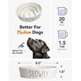 thumbnail image 4 of Slow Feeder Dog Bowl - 1.5 Cups Ceramic Puzzle Feeder for Small & Medium Breeds, Maze Design Bowl for Puppy & Fast Eaters, White Pet Dish to Control Eating Speed, 4 of 4