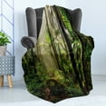 thumbnail image 4 of Puerto Rico Soft Flannel Fleece Throw Blanket, Jungle Path Through the El Yunque National Forest, Cozy Plush for Indoor and Outdoor Use, 50" x 60", Green Dark Green, by Ambesonne, 4 of 5