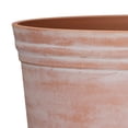 thumbnail image 3 of 16"Oneda planteur, terre cuite lavée, 3 of 5
