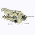 thumbnail image 2 of BEMS-1 acuario dinosaurio cráneo decoración reptil cráneo oculto, 2 of 3