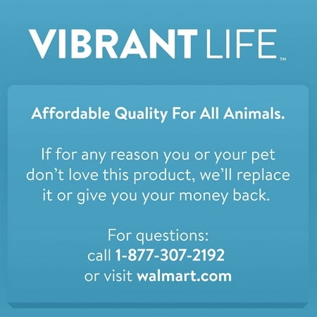 Vibrant Life Dog Food Container, Small, 4-lb Capacity