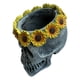 thumbnail image 1 of Maceta de resina con forma de calavera, diseño creativo en 3D, maceta para suculentas. flor de sol, 1 of 9