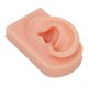 thumbnail image 5 of Modelo de oreja falsa, modelo de oreja de silicona, modelo de oreja derecha suave, modelo de oreja de silicona elaborado por expertos, 5 of 8