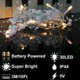 thumbnail image 2 of 10Ft 30LED Christmas String Lights Battery Powered for Christmas Decorations, Christmas Garland for Fireplace Mantel Indoor Outdoor (Sliver), 2 of 6