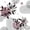 White Pink, variant on Homewish Mid-Century Plants Print Twin Quilt Set,Boho Lines Art Twin Coverlet Set,Cream,2pcs