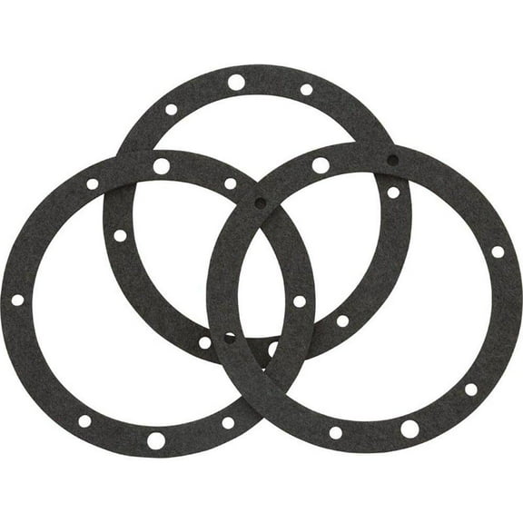 Pentair Gaskets for Niches Set of 3 79204603