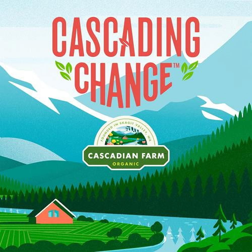 Cascadian Farm Organic Gluten Free Honey Vanilla Crunch Cereal, 10.5 Oz. - Pack of 2