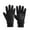Black, variant on Winter Thermal Polar Gloves for Women Cold Weather Lining Mittens for Running Cycling Walking Outdoor Black One Size