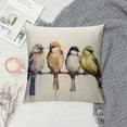 thumbnail image 2 of GOSMITH  Outdoor Birds Pillows Decorative Throw Pillows Single Large Watercolor Hand-Painted Oil Painting Birds Pillow Cases,Spring Summer Decorations Square Cushion Covers for Couch Sofa, 2 of 5