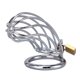 thumbnail image 1 of Dispositivo de castidad masculina de acero inoxidable de 45 mm / 50 mm Anillo para el pene con jaula para pene TFixol Producto vivo, 1 of 7