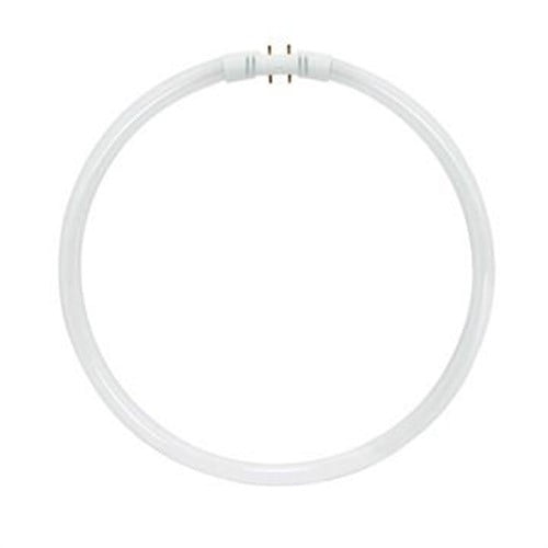 Cool White Satco S8160 4100K 40-Watt 2GX13 T5 Circline High Performance Lamp