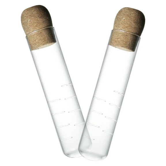 WHAMVOX 2pcs Glass Tea Infuser with Cork Lid Loose Leaf Tea Glass Infuser Reusable Tea Strainer for Cups Mug Transparent Tea Filter Reusable Tea Infuser