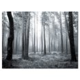 thumbnail image 2 of Designart - Forêt Brumeuse Noire et Blanche - Impression sur Toile, 2 of 2