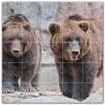 thumbnail image 1 of Picture-Tiles.com: Bear Ceramic Tile Wall Mural WAL500109-55XL. 60"W x 60"H using (25) 12" x 12" Ceramic Tiles-Satin Finish, 1 of 3