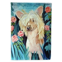Carolines Treasures 7087-FLAG-PARENT Chinese Crested  Flag  multicolor