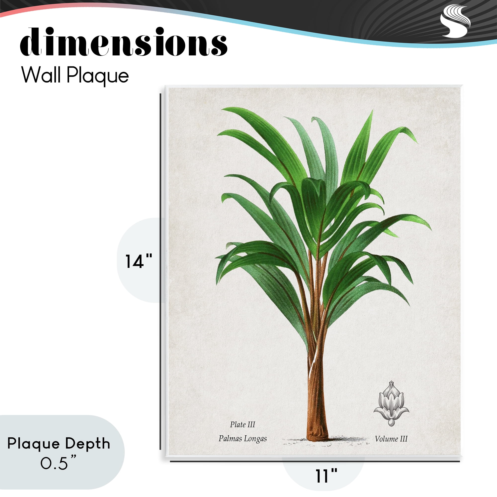 Stupell Industries Palmas Longas Palm Tree Wall Plaque Art, design by Val Rhodes
