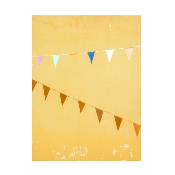 Trademark Fine Art Raisa Zwart  Mexican Flags Canvas Wall Art