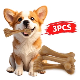 American Dog Classics Lucky Star Dog Squeaky Toy, Assorted Colors