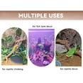 thumbnail image 3 of 2PCS Snake Climbing Branches,Reptile Natural Coral Driftwood Branches Decor,Lizard Habitat Decoration Accessories, Terrarium Tree Trunk Ornament for Bearded Dragon Gecko Frog Chameleon Spider, 3 of 14