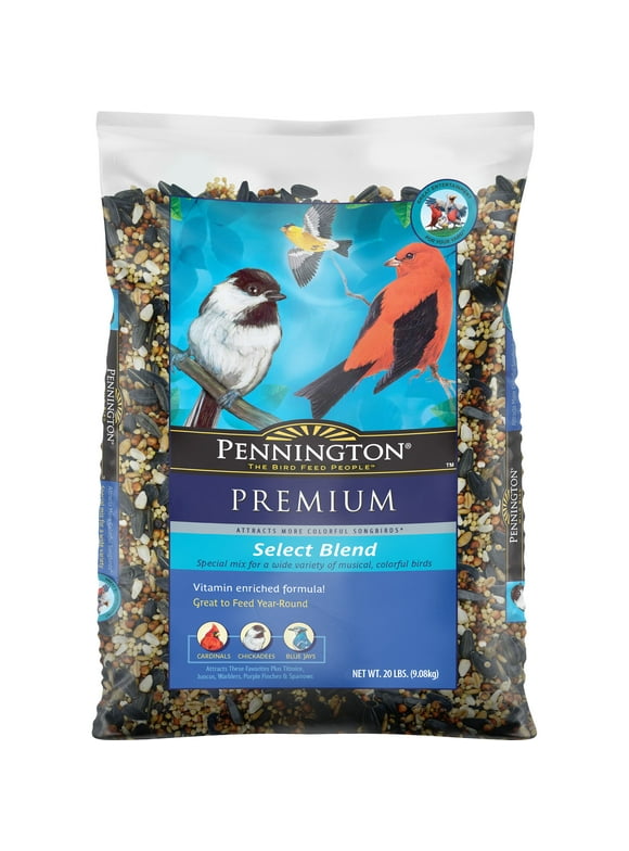 Bird Seeds in Bird Feed