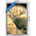 thumbnail image 3 of Big Buck Wall Poster, 14.725" x 22.375" Framed, 3 of 5