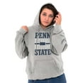 thumbnail image 4 of Pennsylvania PA Keystone State Shape Unisex Plus Fleece Graphic Hoodie Brisco Brands 2X, 4 of 5