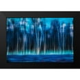 thumbnail image 2 of Cmarits, Hannes 14x11 Black Modern Framed Museum Art Print Titled - Mystic Forest, 2 of 5