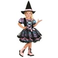 thumbnail image 1 of Girl's Pastel Tutu Toddler Witch Costume, 1 of 7