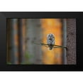 thumbnail image 2 of Zygmunt, Milan 18x13 Black Modern Framed Museum Art Print Titled - Tawny Owl, 2 of 5