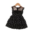 thumbnail image 3 of uukiA 18-24 Months And 2-6 Years Child Baby Girl Multi-layer Ruffle Mesh Polka Dot Print Sleeveless Crew Neck A-line Dress, 3 of 5