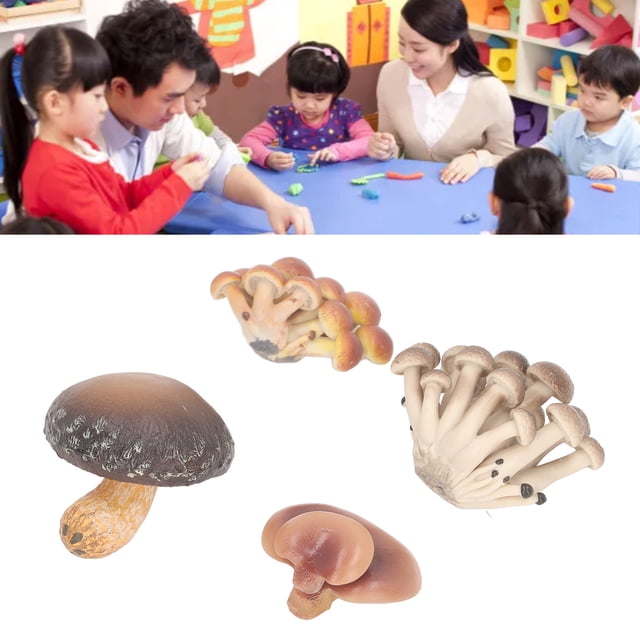 Juego de Modelos de Hongos en Miniatura de Alta Simulación para Educación Modelos Cognitivos Educación Temprana y Decoración con Plástico Seleccionado ANGGREK Otros