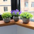 thumbnail image 2 of 3 Pcs Mini Plantes Artificielles en Pot Fausse Herbe Verte Pot Simulation, 2 of 8